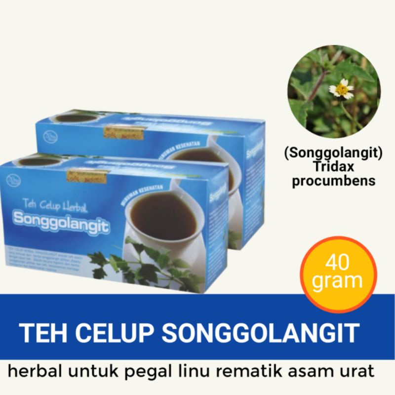 

Teh herball Songgolangit untuk encok pegal linu rematik