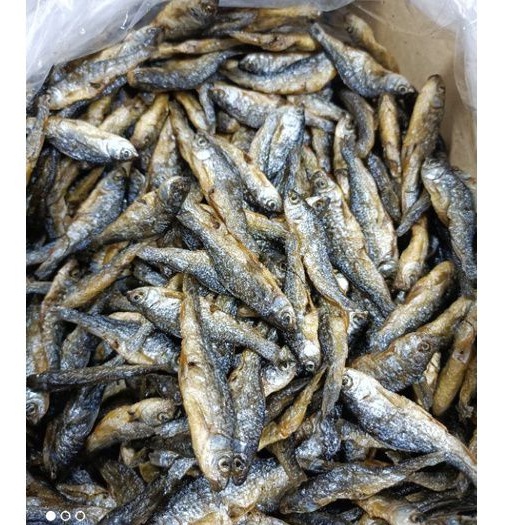 

Ikan Bilih ikan Danau Tawar Ikan Bili Padang 500gr