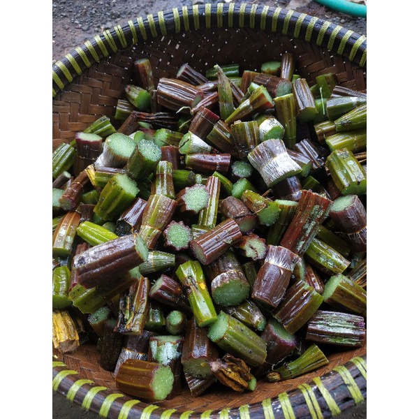 BATANG ANGGREK MERPATI SEGAR 500 GRAM / BONGGOL ANGGREK SEGAR / OBAT HERBAL