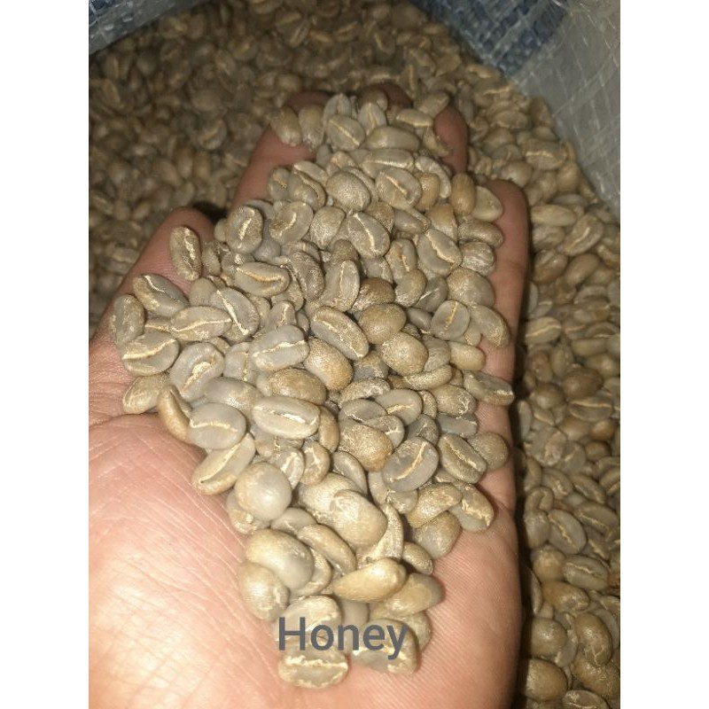

Arabika Gayo Honey