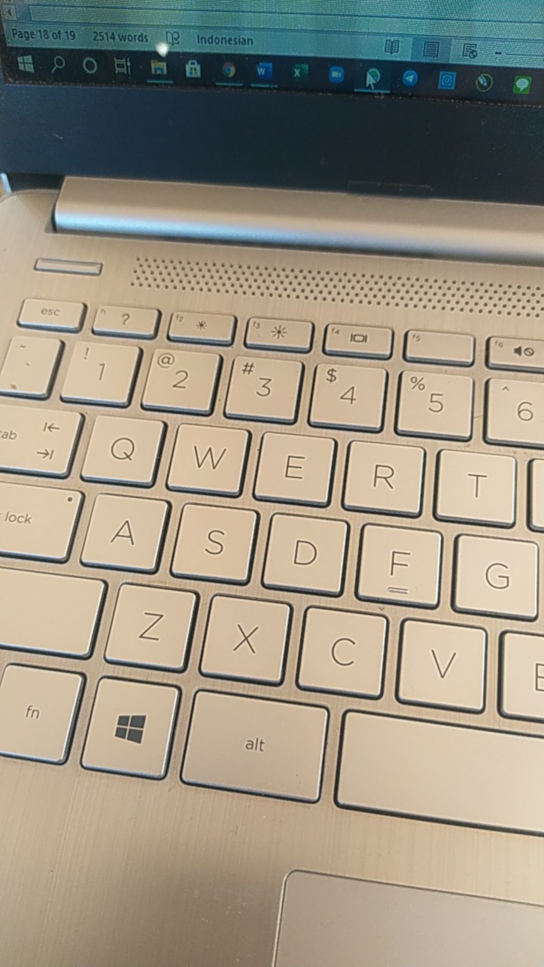 Suntikan / Alat Ukur Nutrisi Hidroponik 10ml