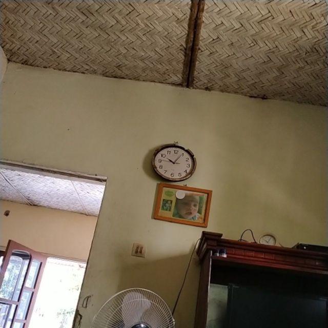 Melon Honeydew Orange 10 Benih