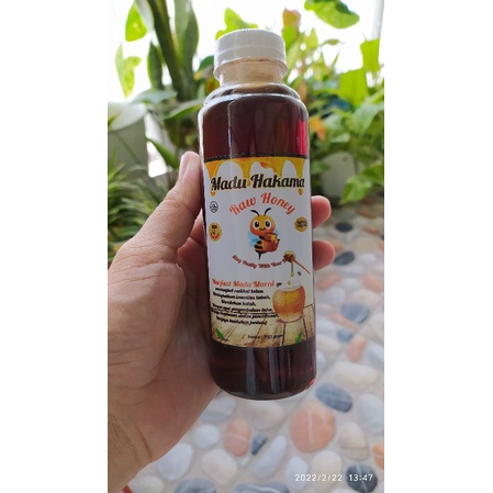 

Madu Hakama kemasan 350gram,madu asli,madu murni 100%,madu akasia,madu ternak hutan jambi