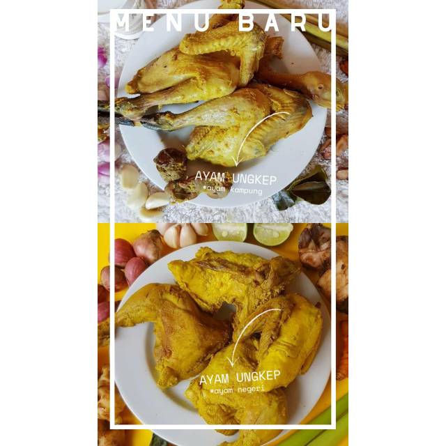 Ayam ungkep 1 ekor ayam kampung dan ayam negri
