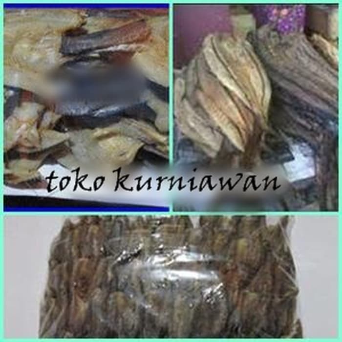 

Paket Ikan Asin Khas Banjarmasin