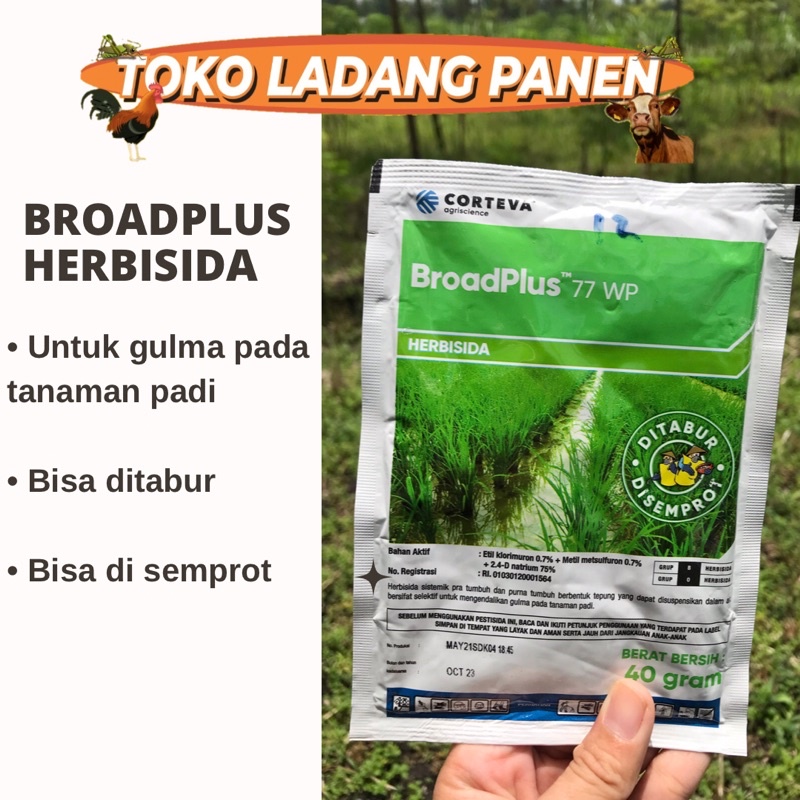 BROADPLUS HERBISIDA