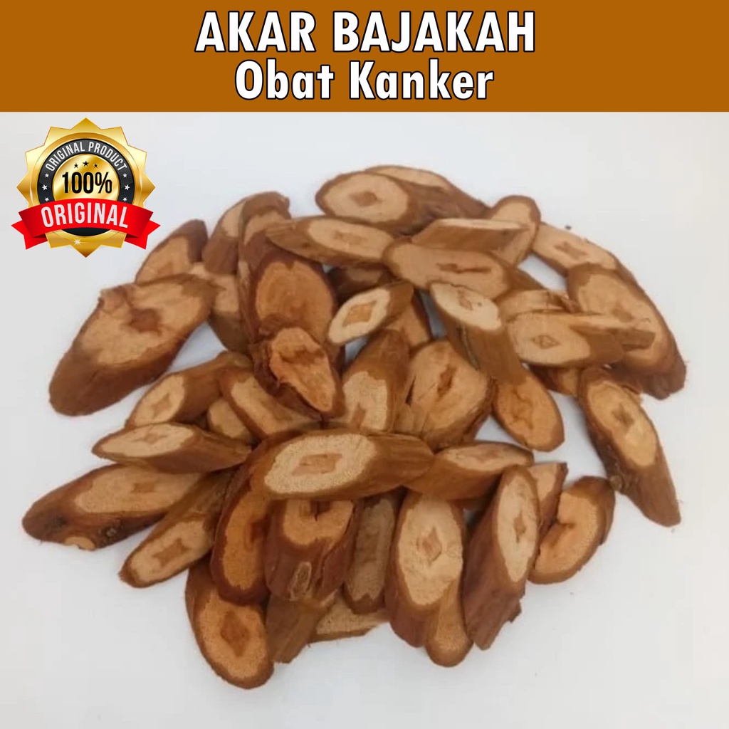 

[ORI] Akar Bajakah 1kg Kalalawit Merah Asli Kalimantan