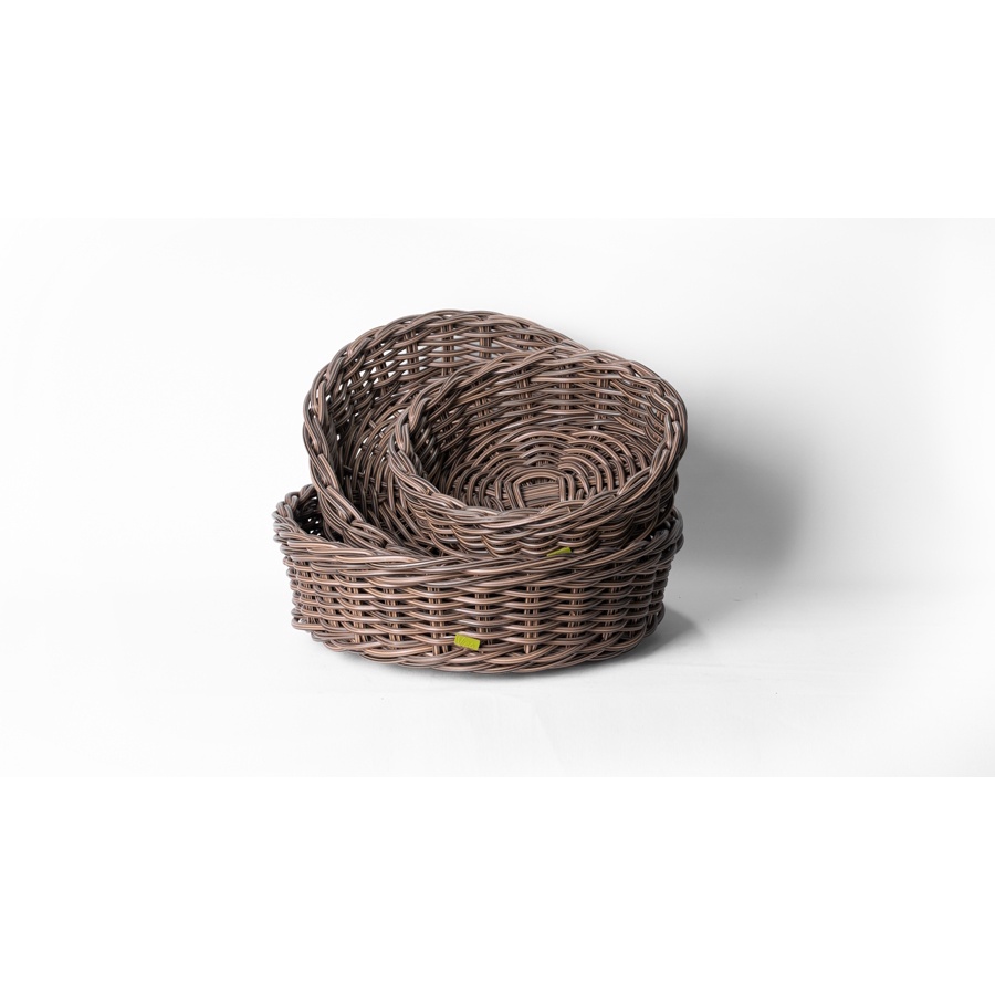 Low in Curved Basket in Palm - Large