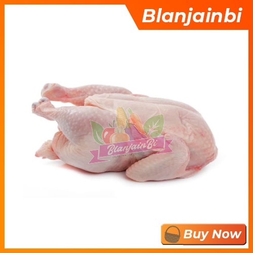 

Daging Ayam Broiler Bandung Area