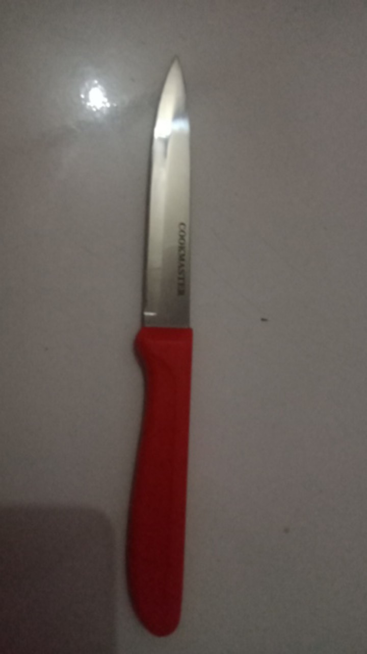 Pisau Dapur Pemotong Buah Sayur Stainless / Pisau Pengupas Buah Sayuran