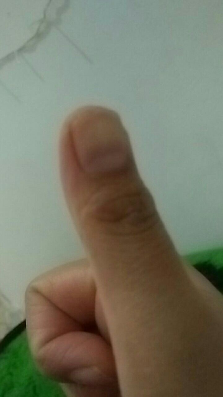 Kawat Elemen Element Press Pres Plastik Impulse Sealer 20cm 20 Cm