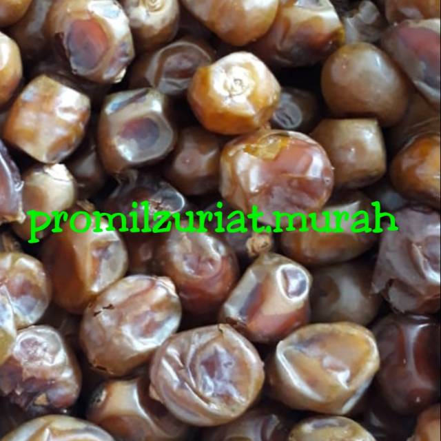 

Kurma barhee Saudi manis Promil 1 kg