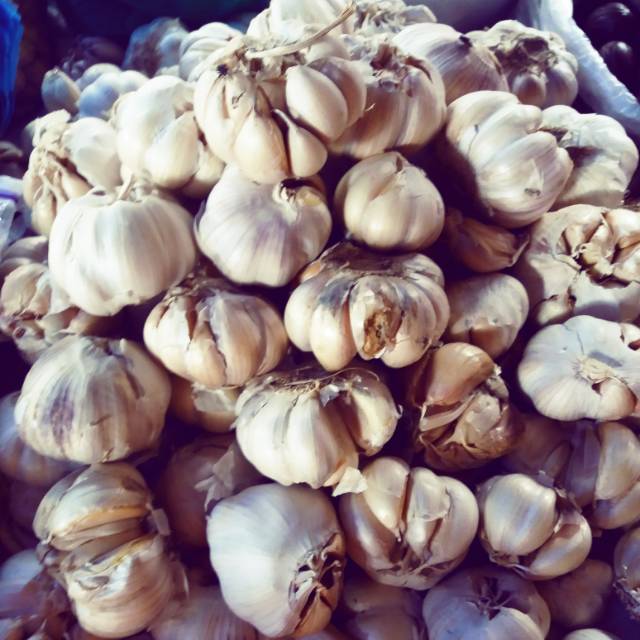 

Bawang Putih Super