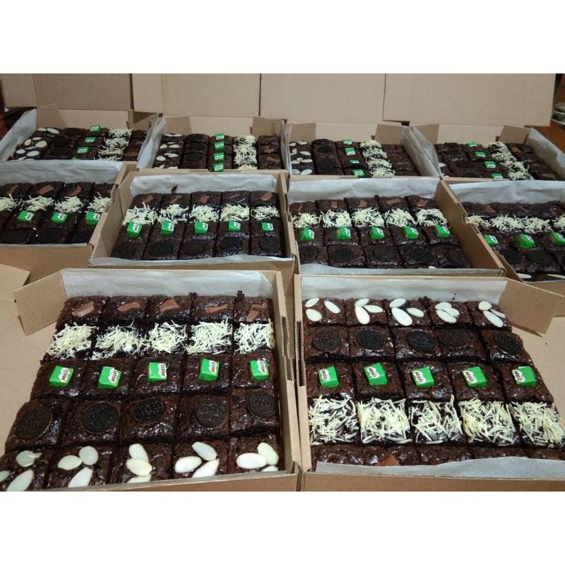 

Skat Brownies big size