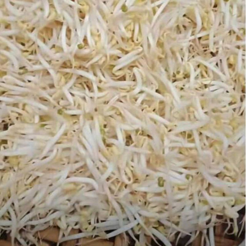 

Toge tauge 250gr