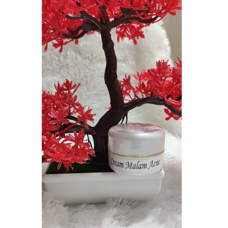Cream Malam Acne (Jerawat) BPOM ip skincare