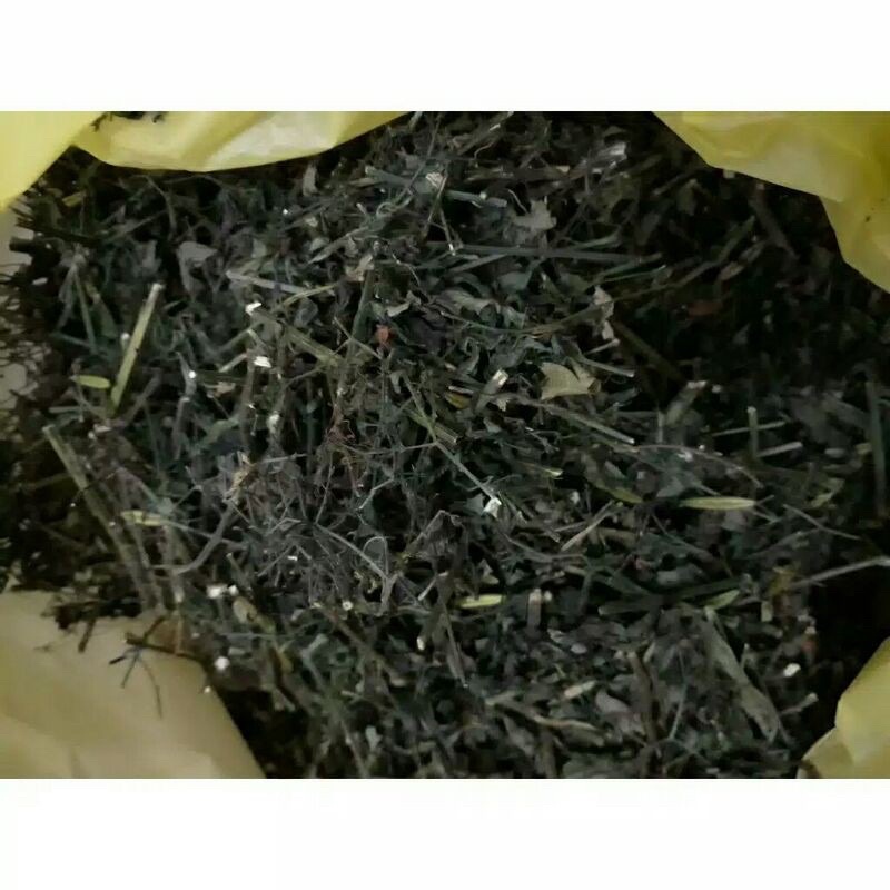 

Paitan Sambirata / Sambiroto Kering 1kg