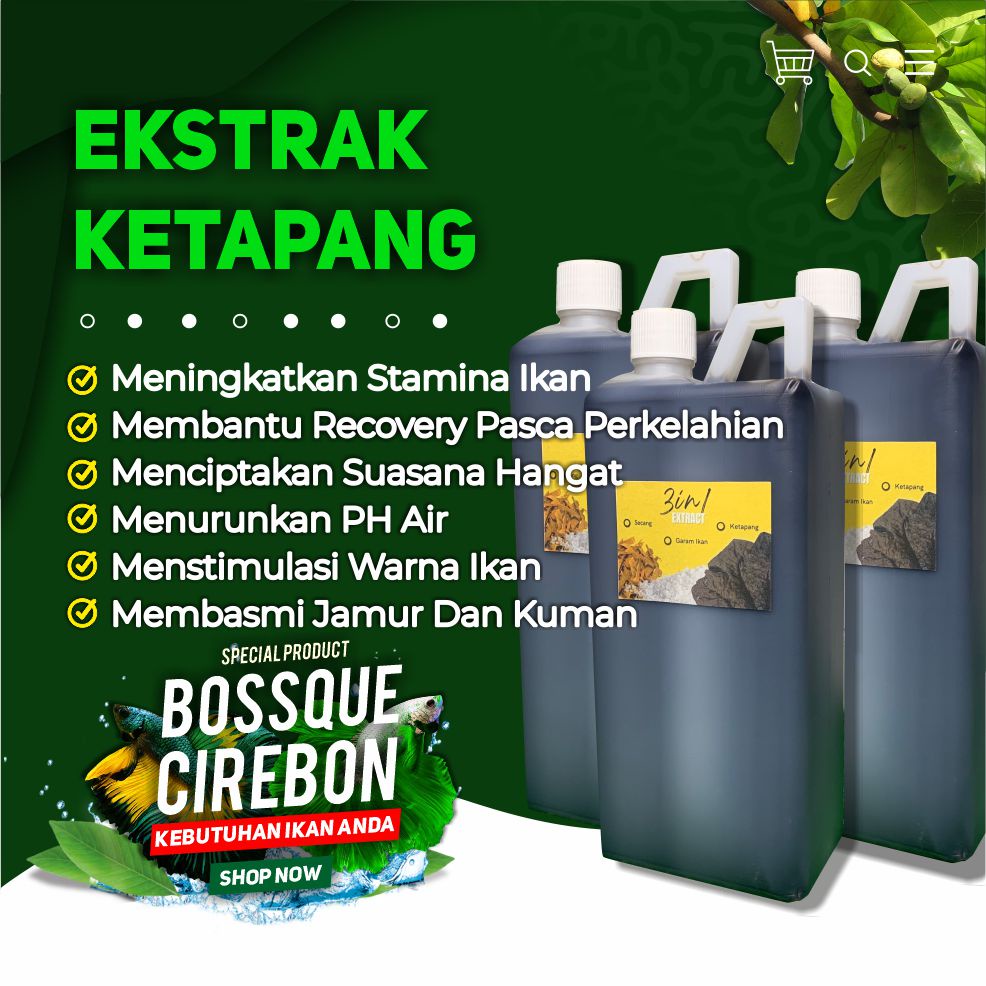 [Free Pipet Tetes] Ekstrak Ketapang Secang Garam 3in1 1 Liter - Grosir Ikan Cupang Channa Anti Sakit Extract Stamina Booster