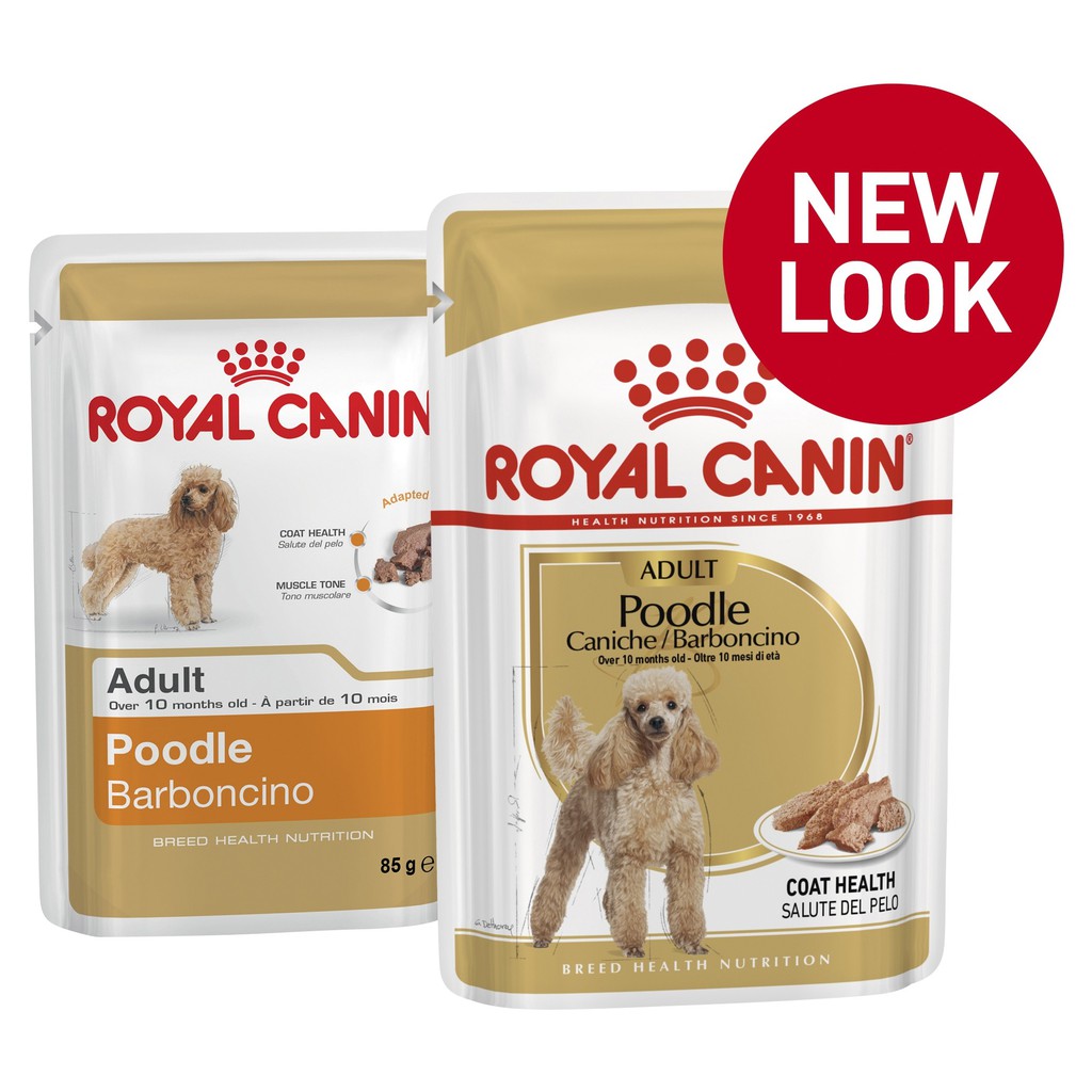 Royal Canin Adult Poodle pouch 85gr-makanan basah anjing poodle