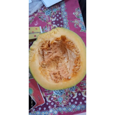 

labu kuning