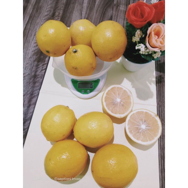 

Jeruk Lemon California fresh