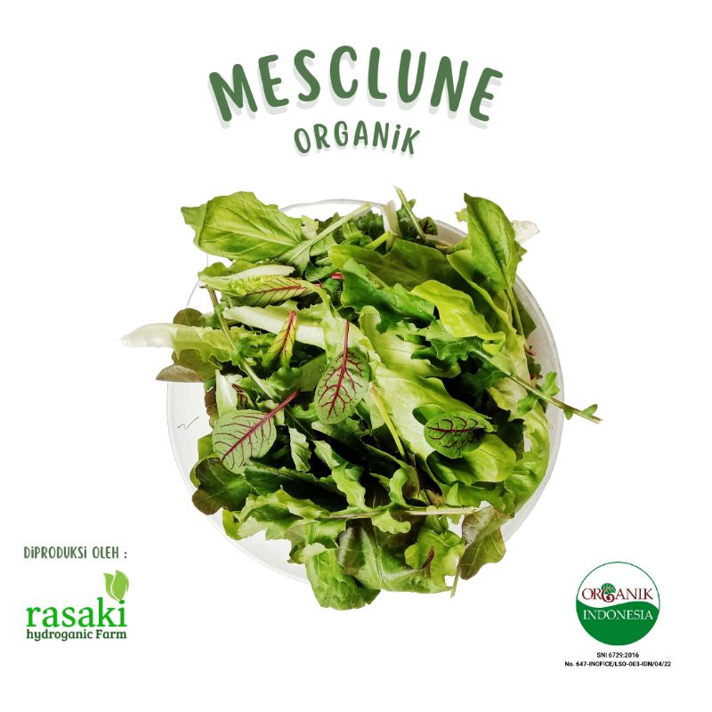 

sayur segar mesclune mesclun salad rasaki 200gr