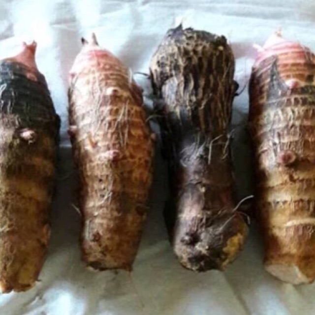 

Umbi talas 1kg pulen