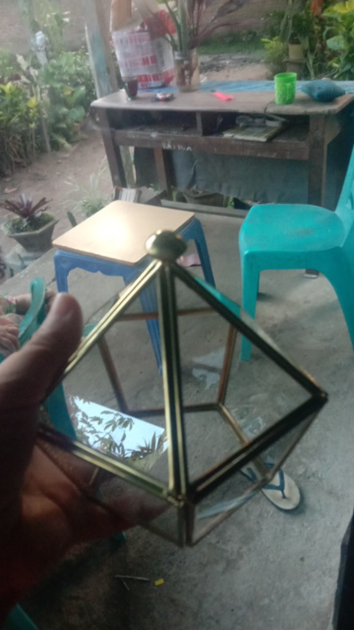 Ring Bearer Kaca Terarium