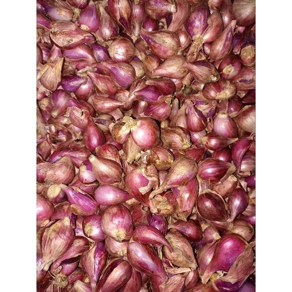 

BAWANG MERAH BREBES SEDANG 1KG/BAWANG MERAH LOKAL