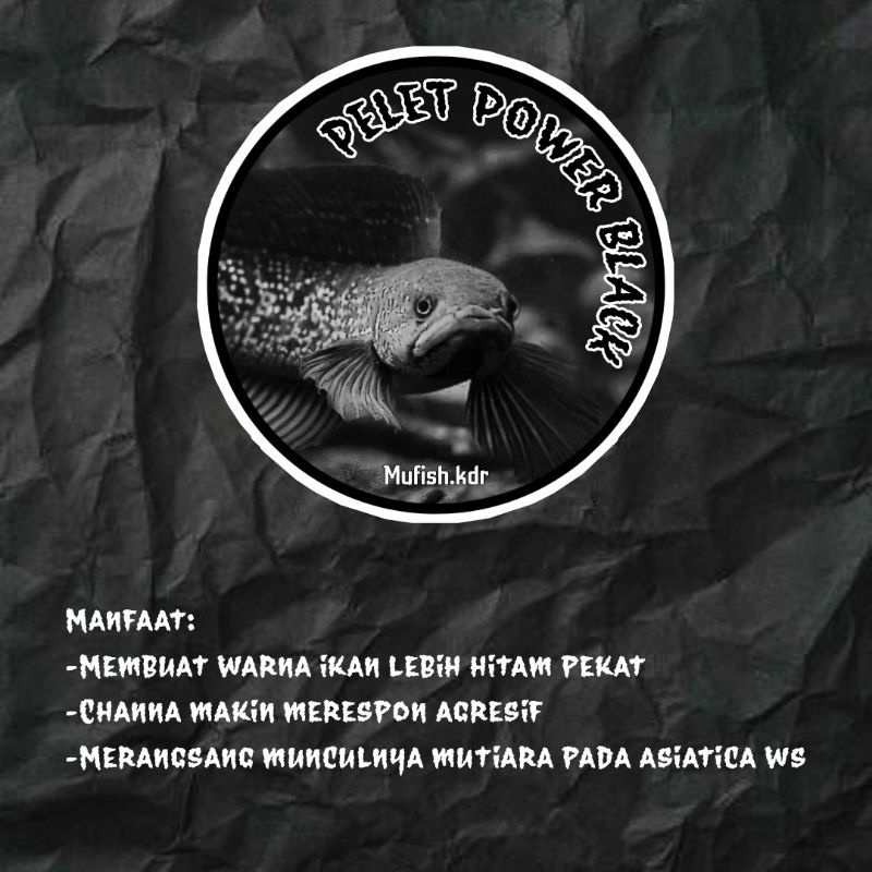 Pelet Power Black / Pelet hitam progres asiatica ws