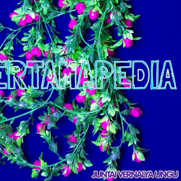 ✿ Bunga Plastik/ Daun Rambat/ Rumput Plastik/ Busa Gabus /Floral Foam - Putih ➧