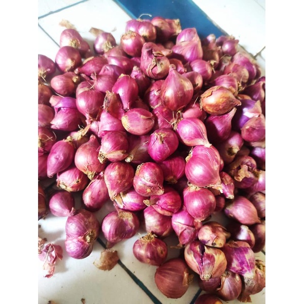 

brambanG lokal bawang merah super kemasan 1kg