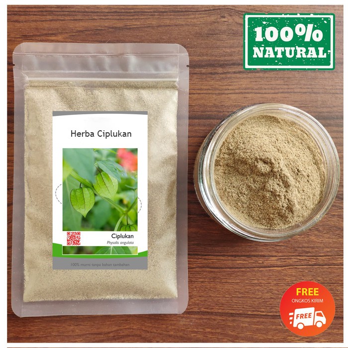 

BUBUK CIPLUKAN 500 g Serbuk Simplisia CEPLUKAN Herbal Original Grade A