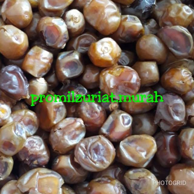 

Kurma barhee Saudi 500 gr