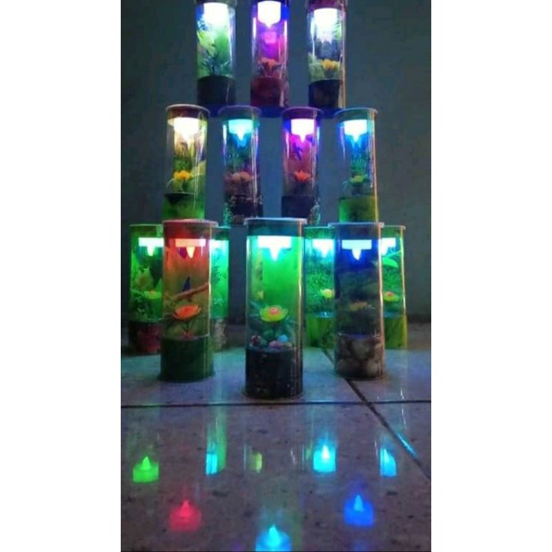 AQUARIUM MINI UNIK LUCU