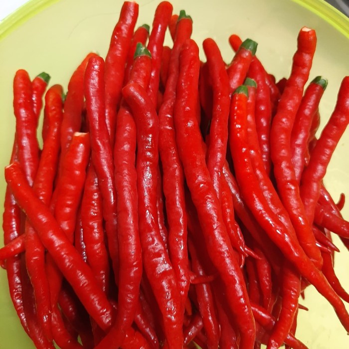 

vs2011bd Balado Merah Tinggal Goreng Fsfs201