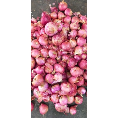 

BAWANG MERAH LOKAL BRAMBANG BAWANG MERAH JAWA MURAH