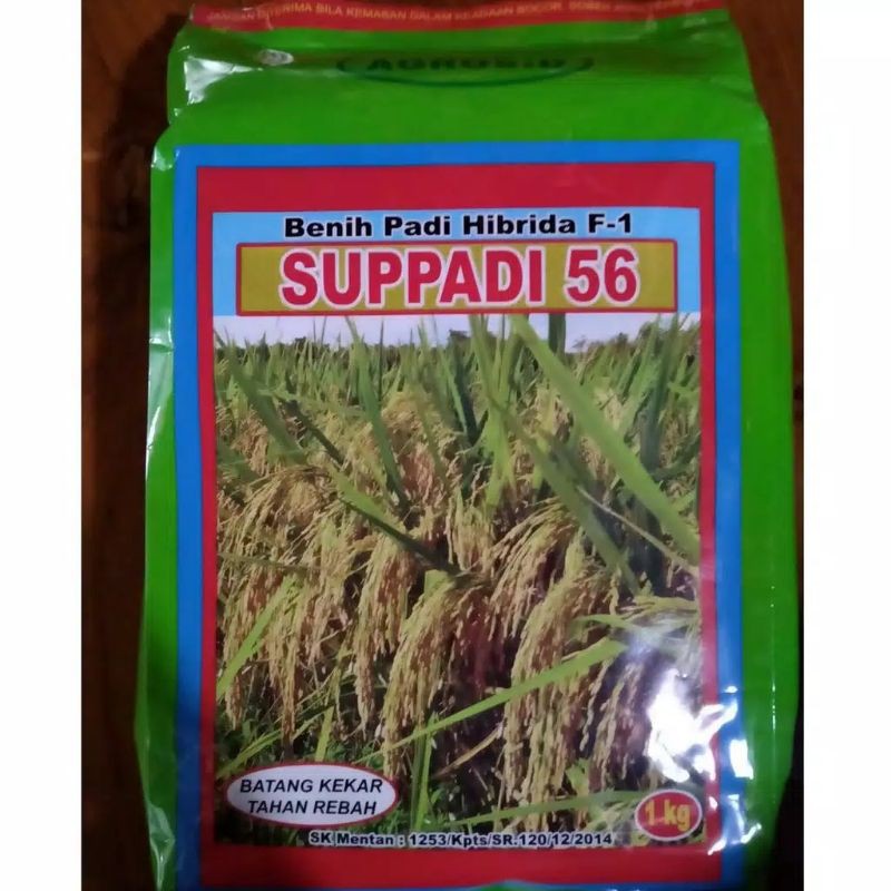 Benih Padi Hibrida F-1 SUPPADI 56