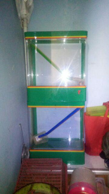 Aquarium Es Kelapa Kecil Acrylic Es Buah + Gayung Lion Star Lionstar