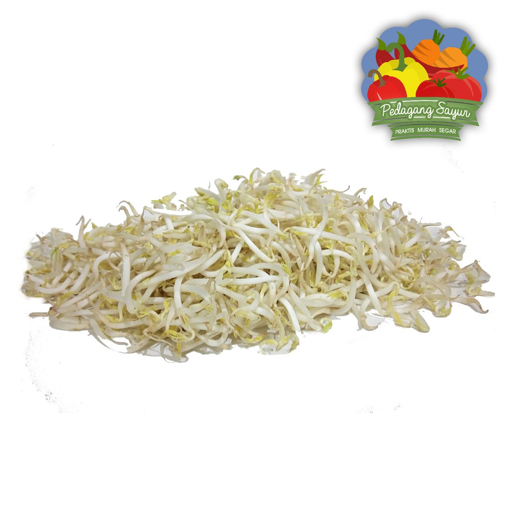 Jual Toge / Tauge Panjang - 250 gram Indonesia|Shopee Indonesia