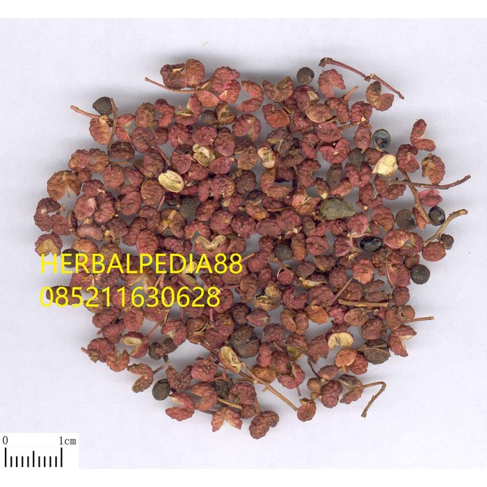 

hua jiao 花椒 Zanthoxyli Pericarpium Chinese Prickly-ash 100 gram