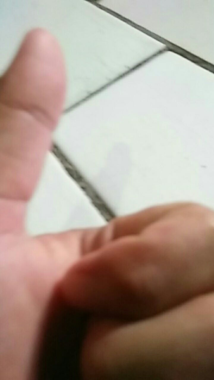 Kunci Pintu Rumah Window Home Security Pull Ring Bounce Door Bolt Diy Latch Lock