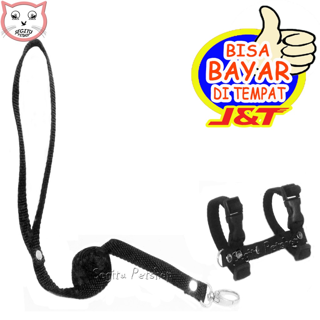 Tali Penuntun Kucing Harness H Tuntun Kucing Anjing Harnes Musang Besar