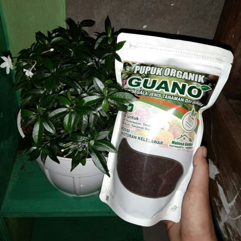 pupuk guano organik