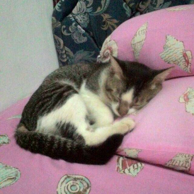 indri_asturiyah