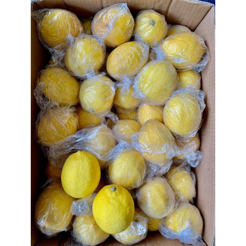 

Lemon Import Citra Segar Sehat per Box 10 kg