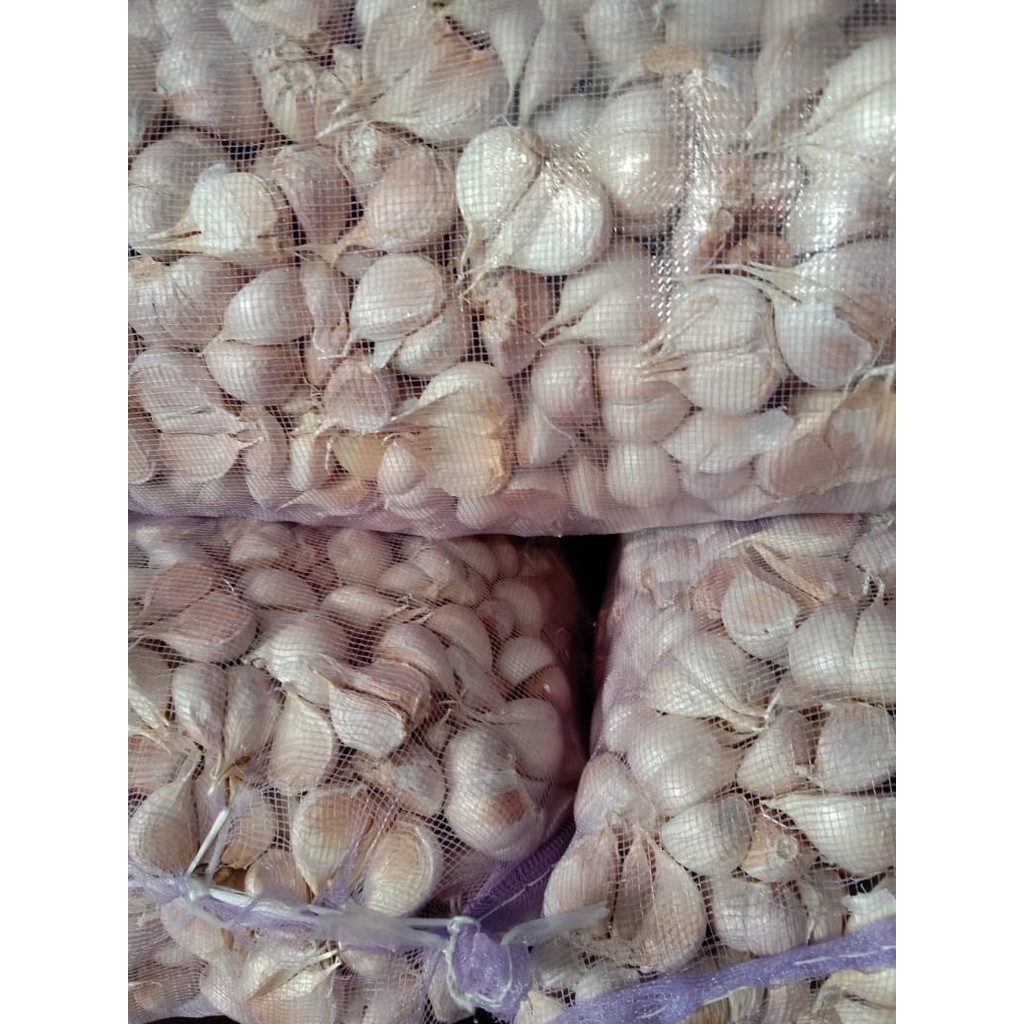 

BAWANG PUTIH KATING 1 KG