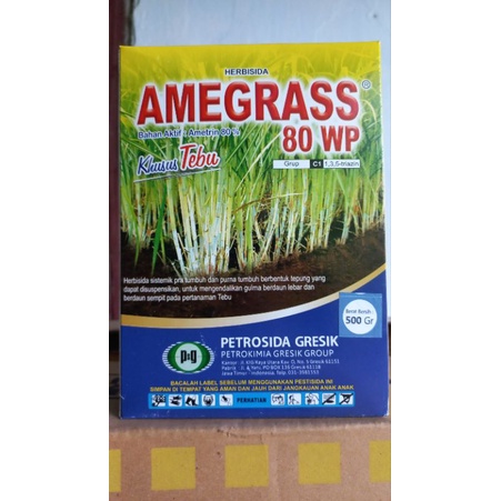 Herbisida Selektif Tebu Amegrass 80 Wp Kemasan 500 gram