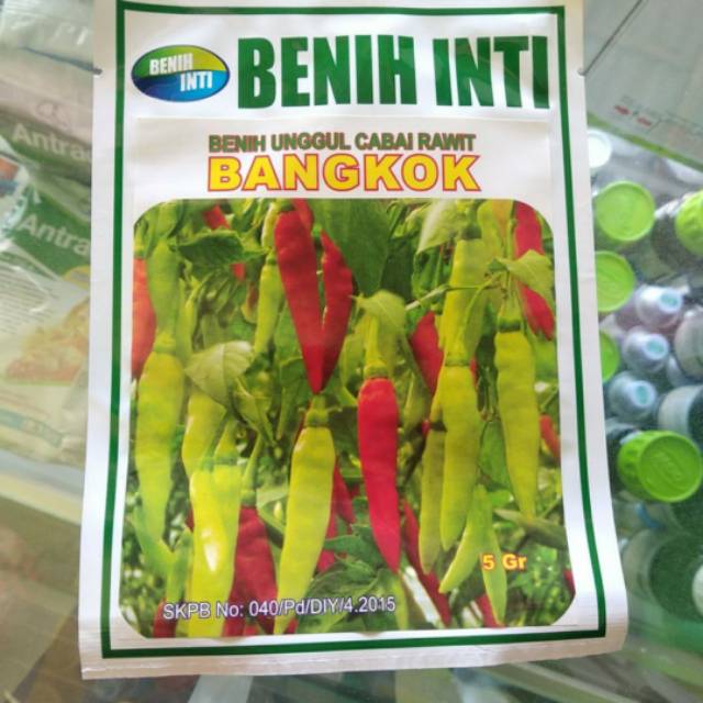 Benih Unggul Cabe Rawit Bangkok Putih isi 5 gr