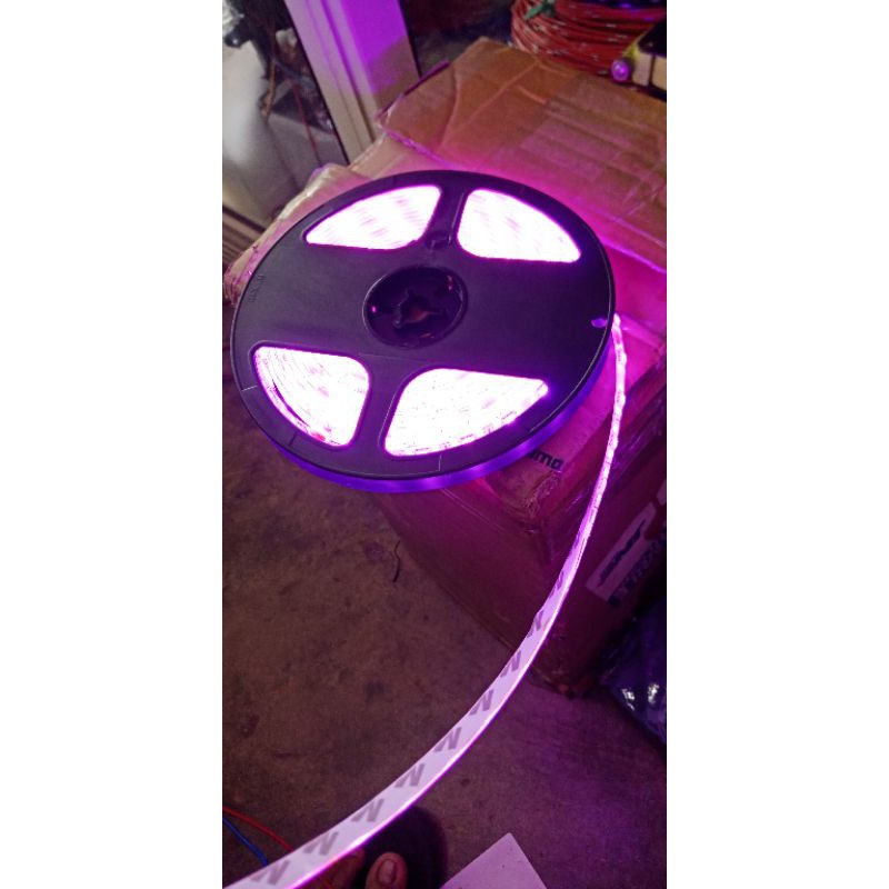 led strip 24 volt pink| led roll